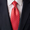 Ceramic Elegance Red Duchesse Silk Tie